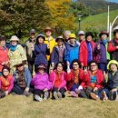 수목토아파트경로당 이미지