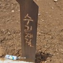 구사골 네이버블로그