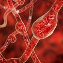 (주)모피어스엠 이미지