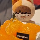 돌쇠농장 | 25년 3분기 제출합니다