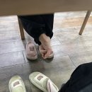 (주)고양이스튜디오 이미지