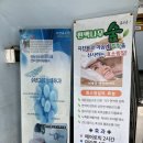 편백효소원 | 경남 진주시 본성동 / 편백효소찜질 힐링체험 내돈내산 '자연효소원' 반문후기