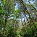 운곡노래방 이미지