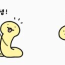 엄광산임도 이미지