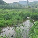 동산면 사무소