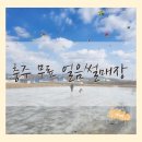 엄정길 | 충주 무료 얼음썰매 총집합