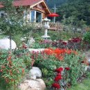 황토통나무집민박 이미지