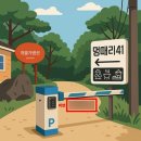 멍때리 41 이미지