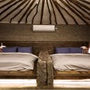 독특한바다 게임장 이미지