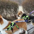 국수집 소담 이미지