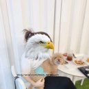 어몽독스 네이버블로그