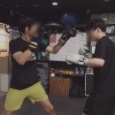 팀타이거복싱짐 이미지