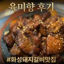 갈비가 | [화성향남 맛집] 돼지갈비가 맛있는 담양식 육미향 내돈내산 솔직후기