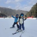 윤진식당 | 25/26시즌 9살, 6살 아이랑 용평리조트 스키 후기