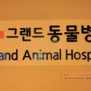 그랜드 동물병원 이미지