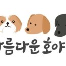 아름다운 애견 이미지