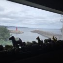 서귀포농업협동조합보목지점 | 제주도3박4일여행중 3일 일정공유 제주남쪽 성산일출봉코스