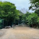 숲속에일출좋은펜션 이미지