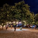 고릴라펜션 이미지