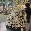 플로리스트 고급 | 대구 노비아갈라 웨딩홀 플라워 데코 알바 후기 | 예비 플로리스트의 현장 기록🌷