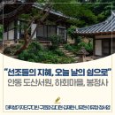 봉정사국화마을 | 선조들의 지혜, 오늘날의 쉼으로│안동 도산서원, 하회마을, 봉정사 #울림이야기