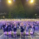 스테이시도 이미지