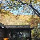 밤나무길 | 무장산 억새군락지 가을산행 등산코스 후기