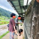 산내음 목장 이미지