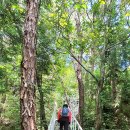 용마루1길 이미지