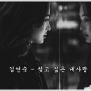 김연숙 - 찾고 싶은 내사랑 이미지