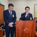 세운파트너스