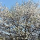 남산 산책로 이미지