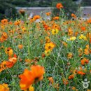 하동레일파크 이미지