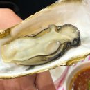 석화 티스토리