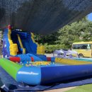 호동유치원 이미지