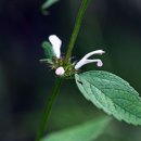 원동재로 이미지