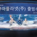 아쿠아플라넷 주식회사 - 8001 | 아쿠아플라넷 주식회사