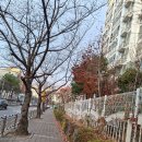 2025.12.11 모임사진/BU 케어 보험 이미지