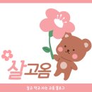 신대방동물메디컬 이미지