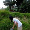 이리동산초등학교 이미지