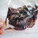 WALWAL(왈왈) 네이버블로그