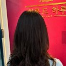 1:1 맞춤 헤어 컨설팅과 트렌디 스타일링으로 재방문하고 싶은 서면 살롱드하루 3호점 후기