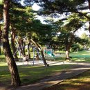 맹방초등학교 이미지