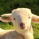 관광통역안내사_관광자원해설 이미지