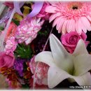 호산초등학교 이미지