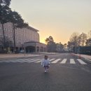 더블유카워시 김포점 | 김포공항 5성급 호텔 "메이필드호텔" 빌라 슈페리어 더블 내돈내산 후기