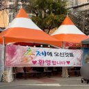 중원-69 | 제64회 진해 군항제 주차 먹거리 볼거리 가볼만한곳 벚꽃 개화 정도 첫째날 후기