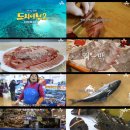 부산도시어부