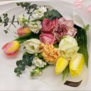 화기애애플라워&플랜트