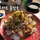 물망초 | [전주 물망초] 신상 객리단길 술집 추천, 파린기 메뉴 추천